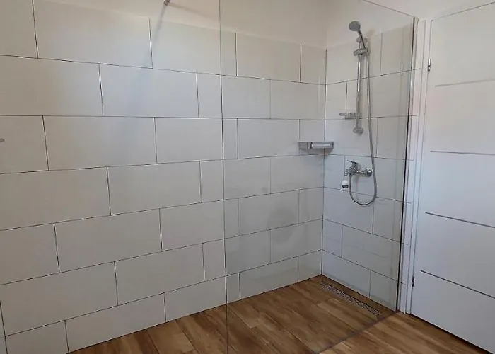 David * ムルテル