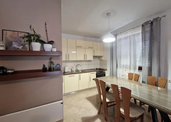 David * ムルテル