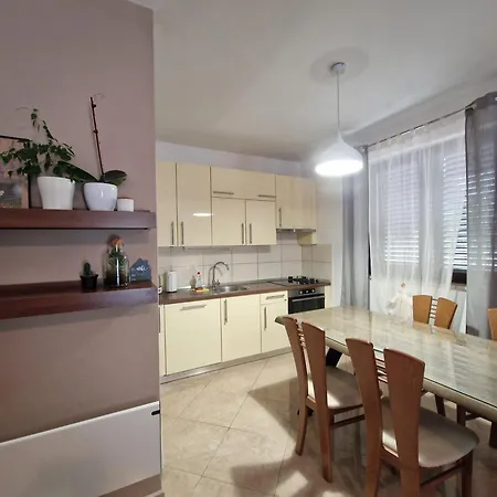 David * مورتير